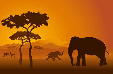 Fototapeta na wymiar Silhouettes of elephants on backgrounds Kilimanjaro