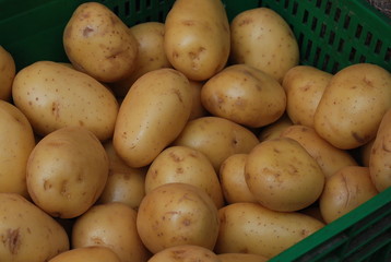 pataas