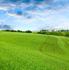beautiful spring landscape and cloudy sky