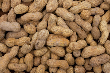 Peanut Background
