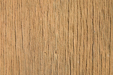 Wood background