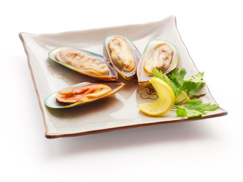 Mussel with lemon slice and parsley on the squared plate