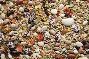 Multi Bean Soup Mix