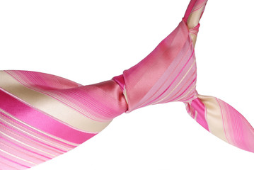 Isolated close-up of Albert knot 2