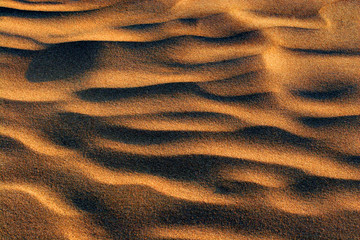 Sand dune background