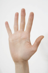 well shaped women hand
