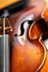 old violin top © vrihu