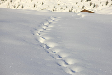 Spuren im Schnee
