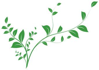 Obraz premium floral design - arbre vectorielle vert sur fond blanc
