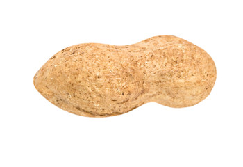 Peanut isolated on white background