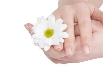 Beautiful female hands..