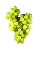 grape