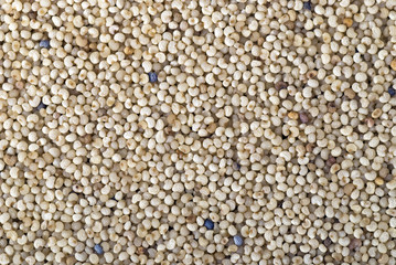 White Poppy Seeds
