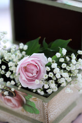 ミニローズ　イン　ザ　ボックス