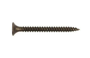 Single sheetrock screw