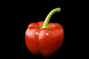 Pepper