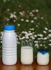 milk,lait,yaourt ,bouteille ,pot,verre,frais,fraicheur,crème