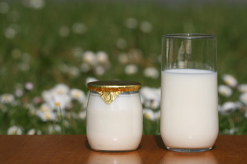 milk,lait,yaourt ,bouteille ,pot,verre,frais,fraicheur,crème