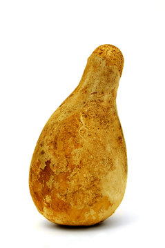 calabaza