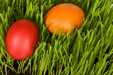 Easter eggs in the grass