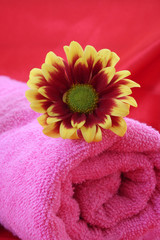 Obraz na płótnie Canvas flower and towel on pink