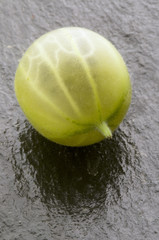 Uva spina - Ribes grossularia