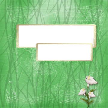 Two gold frame on the green abstract background with calla