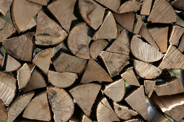 pile of chopped up wood