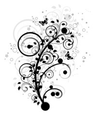 volute de feuilles noirs