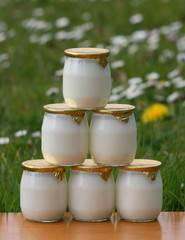milk,lait,yaourt ,bouteille ,pot,verre,frais,fraicheur,crème