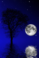 Fototapeta na wymiar notte stellata con luna piena