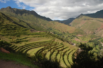 Fototapeta na wymiar Inca terraces above Pisac, Peru