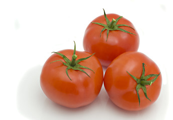 Tomatoes
