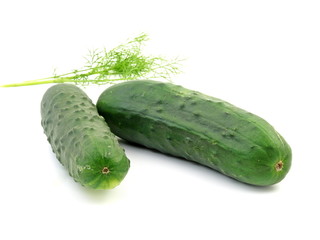 gurke
