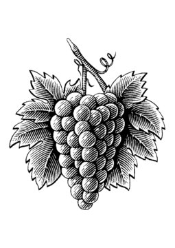 Racimo de uvas
