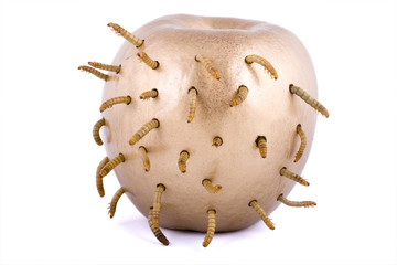 golden apple and worm
