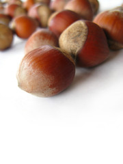Hazel-nuts