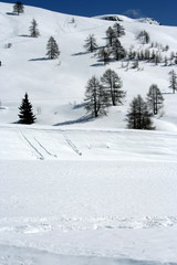 paesaggio di montagna con neve ed alberi