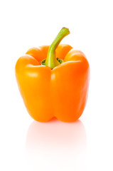 Orange paprica