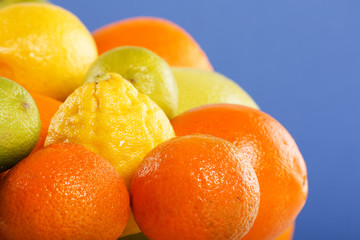 Citrus background