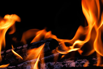 Burning fire wood on a black