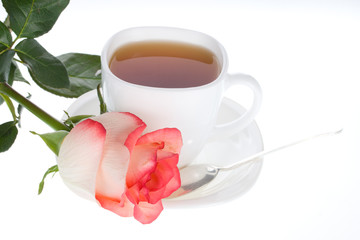red white rose and cup of tea
