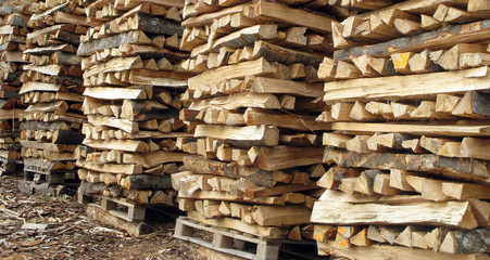brennholz - firewood 3