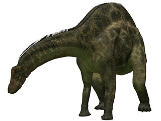 Fototapeta premium Dicraeosaurus-3D Dinosaurier