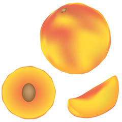 Whole peach, slice, and wedge - vector illustration