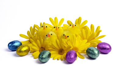 Pasqua