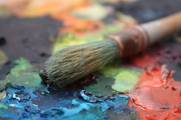 Fototapeta premium Dry oil artist palette