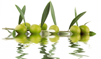 Olive 32 b f