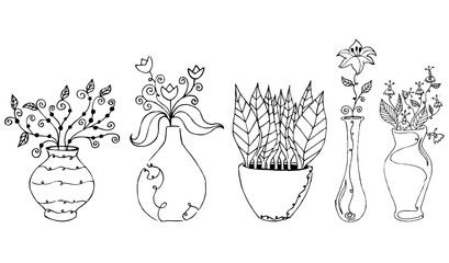 flower drawings vector