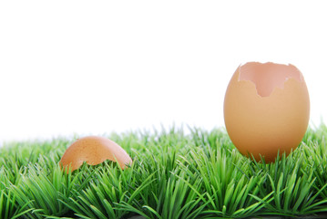 Oeuf cassé sur herbe verte.
